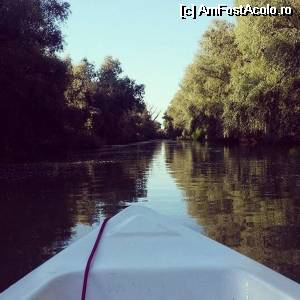 [P01]  -- <small>// FĂRĂ DESCRIERE</small> » foto by GheorgheA
 - 
<span class="allrVoted glyphicon glyphicon-heart hidden" id="av529637"></span>
<a class="m-l-10 hidden" id="sv529637" onclick="voting_Foto_DelVot(,529637,6339)" role="button">șterge vot <span class="glyphicon glyphicon-remove"></span></a>
<a id="v9529637" class=" c-red"  onclick="voting_Foto_SetVot(529637)" role="button"><span class="glyphicon glyphicon-heart-empty"></span> <b>LIKE</b> = Votează poza</a> <img class="hidden"  id="f529637W9" src="/imagini/loader.gif" border="0" /><span class="AjErrMes hidden" id="e529637ErM"></span>