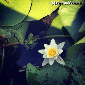 [P02]  -- <small>// FĂRĂ DESCRIERE</small> » foto by GheorgheA
 - 
<span class="allrVoted glyphicon glyphicon-heart hidden" id="av529638"></span>
<a class="m-l-10 hidden" id="sv529638" onclick="voting_Foto_DelVot(,529638,6339)" role="button">șterge vot <span class="glyphicon glyphicon-remove"></span></a>
<a id="v9529638" class=" c-red"  onclick="voting_Foto_SetVot(529638)" role="button"><span class="glyphicon glyphicon-heart-empty"></span> <b>LIKE</b> = Votează poza</a> <img class="hidden"  id="f529638W9" src="/imagini/loader.gif" border="0" /><span class="AjErrMes hidden" id="e529638ErM"></span>