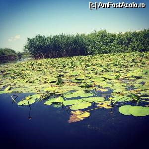 [P03]  -- <small>// FĂRĂ DESCRIERE</small> » foto by GheorgheA
 - 
<span class="allrVoted glyphicon glyphicon-heart hidden" id="av529639"></span>
<a class="m-l-10 hidden" id="sv529639" onclick="voting_Foto_DelVot(,529639,6339)" role="button">șterge vot <span class="glyphicon glyphicon-remove"></span></a>
<a id="v9529639" class=" c-red"  onclick="voting_Foto_SetVot(529639)" role="button"><span class="glyphicon glyphicon-heart-empty"></span> <b>LIKE</b> = Votează poza</a> <img class="hidden"  id="f529639W9" src="/imagini/loader.gif" border="0" /><span class="AjErrMes hidden" id="e529639ErM"></span>