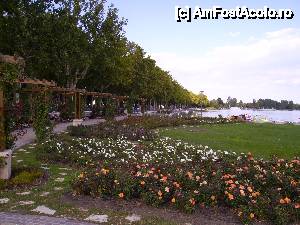 [P07] Parcul din centru.  » foto by dannaa
 - 
<span class="allrVoted glyphicon glyphicon-heart hidden" id="av473157"></span>
<a class="m-l-10 hidden" id="sv473157" onclick="voting_Foto_DelVot(,473157,6382)" role="button">șterge vot <span class="glyphicon glyphicon-remove"></span></a>
<a id="v9473157" class=" c-red"  onclick="voting_Foto_SetVot(473157)" role="button"><span class="glyphicon glyphicon-heart-empty"></span> <b>LIKE</b> = Votează poza</a> <img class="hidden"  id="f473157W9" src="/imagini/loader.gif" border="0" /><span class="AjErrMes hidden" id="e473157ErM"></span>