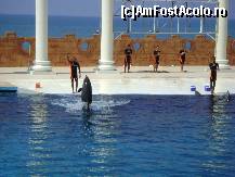 [P11] Dolphin Park Alanya  - imagine de la spectacol » foto by biancuta
 - 
<span class="allrVoted glyphicon glyphicon-heart hidden" id="av210122"></span>
<a class="m-l-10 hidden" id="sv210122" onclick="voting_Foto_DelVot(,210122,6591)" role="button">șterge vot <span class="glyphicon glyphicon-remove"></span></a>
<a id="v9210122" class=" c-red"  onclick="voting_Foto_SetVot(210122)" role="button"><span class="glyphicon glyphicon-heart-empty"></span> <b>LIKE</b> = Votează poza</a> <img class="hidden"  id="f210122W9" src="/imagini/loader.gif" border="0" /><span class="AjErrMes hidden" id="e210122ErM"></span>