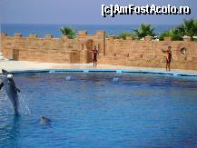 [P12] Dolphin Park Alanya - se pregatesc sa sara » foto by biancuta
 - 
<span class="allrVoted glyphicon glyphicon-heart hidden" id="av210123"></span>
<a class="m-l-10 hidden" id="sv210123" onclick="voting_Foto_DelVot(,210123,6591)" role="button">șterge vot <span class="glyphicon glyphicon-remove"></span></a>
<a id="v9210123" class=" c-red"  onclick="voting_Foto_SetVot(210123)" role="button"><span class="glyphicon glyphicon-heart-empty"></span> <b>LIKE</b> = Votează poza</a> <img class="hidden"  id="f210123W9" src="/imagini/loader.gif" border="0" /><span class="AjErrMes hidden" id="e210123ErM"></span>