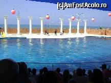 [P04] Dolphin Park Alanya -leii de mare » foto by biancuta
 - 
<span class="allrVoted glyphicon glyphicon-heart hidden" id="av210115"></span>
<a class="m-l-10 hidden" id="sv210115" onclick="voting_Foto_DelVot(,210115,6591)" role="button">șterge vot <span class="glyphicon glyphicon-remove"></span></a>
<a id="v9210115" class=" c-red"  onclick="voting_Foto_SetVot(210115)" role="button"><span class="glyphicon glyphicon-heart-empty"></span> <b>LIKE</b> = Votează poza</a> <img class="hidden"  id="f210115W9" src="/imagini/loader.gif" border="0" /><span class="AjErrMes hidden" id="e210115ErM"></span>