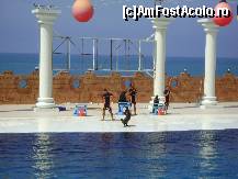 [P05] Dolphin Park Alanya - fiecare din cei trei lei de mare executa un numar » foto by biancuta
 - 
<span class="allrVoted glyphicon glyphicon-heart hidden" id="av210116"></span>
<a class="m-l-10 hidden" id="sv210116" onclick="voting_Foto_DelVot(,210116,6591)" role="button">șterge vot <span class="glyphicon glyphicon-remove"></span></a>
<a id="v9210116" class=" c-red"  onclick="voting_Foto_SetVot(210116)" role="button"><span class="glyphicon glyphicon-heart-empty"></span> <b>LIKE</b> = Votează poza</a> <img class="hidden"  id="f210116W9" src="/imagini/loader.gif" border="0" /><span class="AjErrMes hidden" id="e210116ErM"></span>