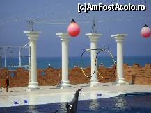 [P09] Dolphin Park Alanya - imagine din timpul spectacolului » foto by biancuta
 - 
<span class="allrVoted glyphicon glyphicon-heart hidden" id="av210120"></span>
<a class="m-l-10 hidden" id="sv210120" onclick="voting_Foto_DelVot(,210120,6591)" role="button">șterge vot <span class="glyphicon glyphicon-remove"></span></a>
<a id="v9210120" class=" c-red"  onclick="voting_Foto_SetVot(210120)" role="button"><span class="glyphicon glyphicon-heart-empty"></span> <b>LIKE</b> = Votează poza</a> <img class="hidden"  id="f210120W9" src="/imagini/loader.gif" border="0" /><span class="AjErrMes hidden" id="e210120ErM"></span>