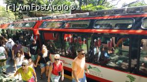 [P52] Rio de Janeiro - Corcovado » foto by elenaadina
 - 
<span class="allrVoted glyphicon glyphicon-heart hidden" id="av1517430"></span>
<a class="m-l-10 hidden" id="sv1517430" onclick="voting_Foto_DelVot(,1517430,6730)" role="button">șterge vot <span class="glyphicon glyphicon-remove"></span></a>
<a id="v91517430" class=" c-red"  onclick="voting_Foto_SetVot(1517430)" role="button"><span class="glyphicon glyphicon-heart-empty"></span> <b>LIKE</b> = Votează poza</a> <img class="hidden"  id="f1517430W9" src="/imagini/loader.gif" border="0" /><span class="AjErrMes hidden" id="e1517430ErM"></span>