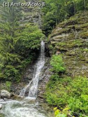[P03] Cascadă în Cheile Jieţului » foto by Michi
 - 
<span class="allrVoted glyphicon glyphicon-heart hidden" id="av1502454"></span>
<a class="m-l-10 hidden" id="sv1502454" onclick="voting_Foto_DelVot(,1502454,6743)" role="button">șterge vot <span class="glyphicon glyphicon-remove"></span></a>
<a id="v91502454" class=" c-red"  onclick="voting_Foto_SetVot(1502454)" role="button"><span class="glyphicon glyphicon-heart-empty"></span> <b>LIKE</b> = Votează poza</a> <img class="hidden"  id="f1502454W9" src="/imagini/loader.gif" border="0" /><span class="AjErrMes hidden" id="e1502454ErM"></span>