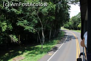 [P43] Foz do Iguaçu, Parcul Național Iguaçu, Drumul de 9 km spre partea finală a cascadelor văzut din autobuzul etajat...  » foto by mprofeanu
 - 
<span class="allrVoted glyphicon glyphicon-heart hidden" id="av1158774"></span>
<a class="m-l-10 hidden" id="sv1158774" onclick="voting_Foto_DelVot(,1158774,6751)" role="button">șterge vot <span class="glyphicon glyphicon-remove"></span></a>
<a id="v91158774" class=" c-red"  onclick="voting_Foto_SetVot(1158774)" role="button"><span class="glyphicon glyphicon-heart-empty"></span> <b>LIKE</b> = Votează poza</a> <img class="hidden"  id="f1158774W9" src="/imagini/loader.gif" border="0" /><span class="AjErrMes hidden" id="e1158774ErM"></span>