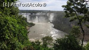 [P15] Cascada Iguacu Brazilia » foto by elenaadina
 - 
<span class="allrVoted glyphicon glyphicon-heart hidden" id="av1517662"></span>
<a class="m-l-10 hidden" id="sv1517662" onclick="voting_Foto_DelVot(,1517662,6751)" role="button">șterge vot <span class="glyphicon glyphicon-remove"></span></a>
<a id="v91517662" class=" c-red"  onclick="voting_Foto_SetVot(1517662)" role="button"><span class="glyphicon glyphicon-heart-empty"></span> <b>LIKE</b> = Votează poza</a> <img class="hidden"  id="f1517662W9" src="/imagini/loader.gif" border="0" /><span class="AjErrMes hidden" id="e1517662ErM"></span>