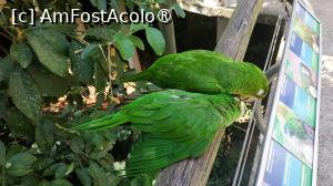 [P01] Parque das Aves » foto by elenaadina
 - 
<span class="allrVoted glyphicon glyphicon-heart hidden" id="av1517864"></span>
<a class="m-l-10 hidden" id="sv1517864" onclick="voting_Foto_DelVot(,1517864,6751)" role="button">șterge vot <span class="glyphicon glyphicon-remove"></span></a>
<a id="v91517864" class=" c-red"  onclick="voting_Foto_SetVot(1517864)" role="button"><span class="glyphicon glyphicon-heart-empty"></span> <b>LIKE</b> = Votează poza</a> <img class="hidden"  id="f1517864W9" src="/imagini/loader.gif" border="0" /><span class="AjErrMes hidden" id="e1517864ErM"></span>