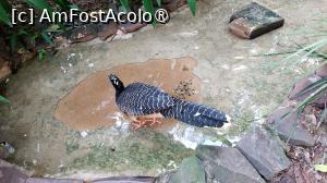 [P13]  -- <small>// FĂRĂ DESCRIERE</small> » foto by elenaadina
 - 
<span class="allrVoted glyphicon glyphicon-heart hidden" id="av1517876"></span>
<a class="m-l-10 hidden" id="sv1517876" onclick="voting_Foto_DelVot(,1517876,6751)" role="button">șterge vot <span class="glyphicon glyphicon-remove"></span></a>
<a id="v91517876" class=" c-red"  onclick="voting_Foto_SetVot(1517876)" role="button"><span class="glyphicon glyphicon-heart-empty"></span> <b>LIKE</b> = Votează poza</a> <img class="hidden"  id="f1517876W9" src="/imagini/loader.gif" border="0" /><span class="AjErrMes hidden" id="e1517876ErM"></span>