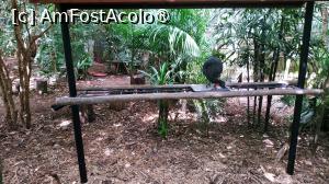 [P16]  -- <small>// FĂRĂ DESCRIERE</small> » foto by elenaadina
 - 
<span class="allrVoted glyphicon glyphicon-heart hidden" id="av1517879"></span>
<a class="m-l-10 hidden" id="sv1517879" onclick="voting_Foto_DelVot(,1517879,6751)" role="button">șterge vot <span class="glyphicon glyphicon-remove"></span></a>
<a id="v91517879" class=" c-red"  onclick="voting_Foto_SetVot(1517879)" role="button"><span class="glyphicon glyphicon-heart-empty"></span> <b>LIKE</b> = Votează poza</a> <img class="hidden"  id="f1517879W9" src="/imagini/loader.gif" border="0" /><span class="AjErrMes hidden" id="e1517879ErM"></span>