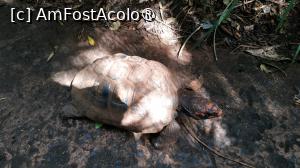 [P18]  -- <small>// FĂRĂ DESCRIERE</small> » foto by elenaadina
 - 
<span class="allrVoted glyphicon glyphicon-heart hidden" id="av1517881"></span>
<a class="m-l-10 hidden" id="sv1517881" onclick="voting_Foto_DelVot(,1517881,6751)" role="button">șterge vot <span class="glyphicon glyphicon-remove"></span></a>
<a id="v91517881" class=" c-red"  onclick="voting_Foto_SetVot(1517881)" role="button"><span class="glyphicon glyphicon-heart-empty"></span> <b>LIKE</b> = Votează poza</a> <img class="hidden"  id="f1517881W9" src="/imagini/loader.gif" border="0" /><span class="AjErrMes hidden" id="e1517881ErM"></span>