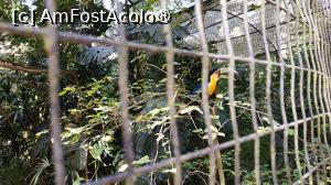 [P19]  -- <small>// FĂRĂ DESCRIERE</small> » foto by elenaadina
 - 
<span class="allrVoted glyphicon glyphicon-heart hidden" id="av1517882"></span>
<a class="m-l-10 hidden" id="sv1517882" onclick="voting_Foto_DelVot(,1517882,6751)" role="button">șterge vot <span class="glyphicon glyphicon-remove"></span></a>
<a id="v91517882" class=" c-red"  onclick="voting_Foto_SetVot(1517882)" role="button"><span class="glyphicon glyphicon-heart-empty"></span> <b>LIKE</b> = Votează poza</a> <img class="hidden"  id="f1517882W9" src="/imagini/loader.gif" border="0" /><span class="AjErrMes hidden" id="e1517882ErM"></span>