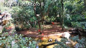 [P21]  -- <small>// FĂRĂ DESCRIERE</small> » foto by elenaadina
 - 
<span class="allrVoted glyphicon glyphicon-heart hidden" id="av1517884"></span>
<a class="m-l-10 hidden" id="sv1517884" onclick="voting_Foto_DelVot(,1517884,6751)" role="button">șterge vot <span class="glyphicon glyphicon-remove"></span></a>
<a id="v91517884" class=" c-red"  onclick="voting_Foto_SetVot(1517884)" role="button"><span class="glyphicon glyphicon-heart-empty"></span> <b>LIKE</b> = Votează poza</a> <img class="hidden"  id="f1517884W9" src="/imagini/loader.gif" border="0" /><span class="AjErrMes hidden" id="e1517884ErM"></span>