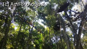 [P45]  -- <small>// FĂRĂ DESCRIERE</small> » foto by elenaadina
 - 
<span class="allrVoted glyphicon glyphicon-heart hidden" id="av1517908"></span>
<a class="m-l-10 hidden" id="sv1517908" onclick="voting_Foto_DelVot(,1517908,6751)" role="button">șterge vot <span class="glyphicon glyphicon-remove"></span></a>
<a id="v91517908" class=" c-red"  onclick="voting_Foto_SetVot(1517908)" role="button"><span class="glyphicon glyphicon-heart-empty"></span> <b>LIKE</b> = Votează poza</a> <img class="hidden"  id="f1517908W9" src="/imagini/loader.gif" border="0" /><span class="AjErrMes hidden" id="e1517908ErM"></span>