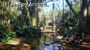 [P47]  -- <small>// FĂRĂ DESCRIERE</small> » foto by elenaadina
 - 
<span class="allrVoted glyphicon glyphicon-heart hidden" id="av1517910"></span>
<a class="m-l-10 hidden" id="sv1517910" onclick="voting_Foto_DelVot(,1517910,6751)" role="button">șterge vot <span class="glyphicon glyphicon-remove"></span></a>
<a id="v91517910" class=" c-red"  onclick="voting_Foto_SetVot(1517910)" role="button"><span class="glyphicon glyphicon-heart-empty"></span> <b>LIKE</b> = Votează poza</a> <img class="hidden"  id="f1517910W9" src="/imagini/loader.gif" border="0" /><span class="AjErrMes hidden" id="e1517910ErM"></span>