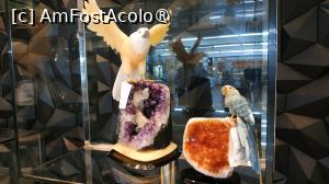 [P55] Parque das Aves, magazinul cu suveniruri » foto by elenaadina
 - 
<span class="allrVoted glyphicon glyphicon-heart hidden" id="av1517918"></span>
<a class="m-l-10 hidden" id="sv1517918" onclick="voting_Foto_DelVot(,1517918,6751)" role="button">șterge vot <span class="glyphicon glyphicon-remove"></span></a>
<a id="v91517918" class=" c-red"  onclick="voting_Foto_SetVot(1517918)" role="button"><span class="glyphicon glyphicon-heart-empty"></span> <b>LIKE</b> = Votează poza</a> <img class="hidden"  id="f1517918W9" src="/imagini/loader.gif" border="0" /><span class="AjErrMes hidden" id="e1517918ErM"></span>