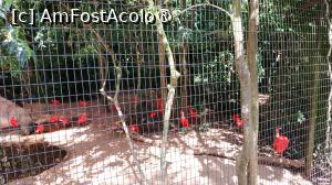 [P07] Parque das Aves » foto by elenaadina
 - 
<span class="allrVoted glyphicon glyphicon-heart hidden" id="av1517870"></span>
<a class="m-l-10 hidden" id="sv1517870" onclick="voting_Foto_DelVot(,1517870,6751)" role="button">șterge vot <span class="glyphicon glyphicon-remove"></span></a>
<a id="v91517870" class=" c-red"  onclick="voting_Foto_SetVot(1517870)" role="button"><span class="glyphicon glyphicon-heart-empty"></span> <b>LIKE</b> = Votează poza</a> <img class="hidden"  id="f1517870W9" src="/imagini/loader.gif" border="0" /><span class="AjErrMes hidden" id="e1517870ErM"></span>