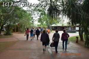 [P01] Doar ce-am intrat in Parcul de la Iguazu » foto by Pușcașu Marin
 - 
<span class="allrVoted glyphicon glyphicon-heart hidden" id="av926273"></span>
<a class="m-l-10 hidden" id="sv926273" onclick="voting_Foto_DelVot(,926273,6751)" role="button">șterge vot <span class="glyphicon glyphicon-remove"></span></a>
<a id="v9926273" class=" c-red"  onclick="voting_Foto_SetVot(926273)" role="button"><span class="glyphicon glyphicon-heart-empty"></span> <b>LIKE</b> = Votează poza</a> <img class="hidden"  id="f926273W9" src="/imagini/loader.gif" border="0" /><span class="AjErrMes hidden" id="e926273ErM"></span>