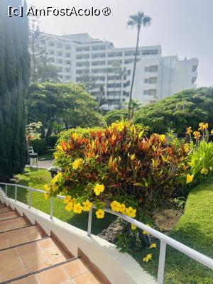 [P03] tot prin gradina » foto by indiralisa_26
 - 
<span class="allrVoted glyphicon glyphicon-heart hidden" id="av1504776"></span>
<a class="m-l-10 hidden" id="sv1504776" onclick="voting_Foto_DelVot(,1504776,6800)" role="button">șterge vot <span class="glyphicon glyphicon-remove"></span></a>
<a id="v91504776" class=" c-red"  onclick="voting_Foto_SetVot(1504776)" role="button"><span class="glyphicon glyphicon-heart-empty"></span> <b>LIKE</b> = Votează poza</a> <img class="hidden"  id="f1504776W9" src="/imagini/loader.gif" border="0" /><span class="AjErrMes hidden" id="e1504776ErM"></span>