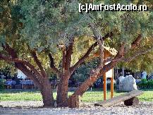 [P11] In camping sunt multi copaci inalti, care transforma aleile si zonele ce incep de la limita plajei in oaze de racoare. La umbra lor veti putea manca, fie la restaurantul din apropiere, fie la snack-bar, la vremea amiezii. » foto by cher-cher
 - 
<span class="allrVoted glyphicon glyphicon-heart hidden" id="av111967"></span>
<a class="m-l-10 hidden" id="sv111967" onclick="voting_Foto_DelVot(,111967,6831)" role="button">șterge vot <span class="glyphicon glyphicon-remove"></span></a>
<a id="v9111967" class=" c-red"  onclick="voting_Foto_SetVot(111967)" role="button"><span class="glyphicon glyphicon-heart-empty"></span> <b>LIKE</b> = Votează poza</a> <img class="hidden"  id="f111967W9" src="/imagini/loader.gif" border="0" /><span class="AjErrMes hidden" id="e111967ErM"></span>