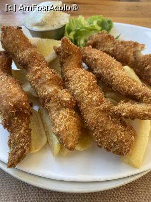 [P15] Cherhana Pontica. Gujoane de șalău cu cartofi, porție întreagă. » foto by Floria
 - 
<span class="allrVoted glyphicon glyphicon-heart hidden" id="av1519466"></span>
<a class="m-l-10 hidden" id="sv1519466" onclick="voting_Foto_DelVot(,1519466,6877)" role="button">șterge vot <span class="glyphicon glyphicon-remove"></span></a>
<a id="v91519466" class=" c-red"  onclick="voting_Foto_SetVot(1519466)" role="button"><span class="glyphicon glyphicon-heart-empty"></span> <b>LIKE</b> = Votează poza</a> <img class="hidden"  id="f1519466W9" src="/imagini/loader.gif" border="0" /><span class="AjErrMes hidden" id="e1519466ErM"></span>