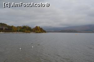 [P02] Loch Lomond » foto by ariciu
 - 
<span class="allrVoted glyphicon glyphicon-heart hidden" id="av812502"></span>
<a class="m-l-10 hidden" id="sv812502" onclick="voting_Foto_DelVot(,812502,6898)" role="button">șterge vot <span class="glyphicon glyphicon-remove"></span></a>
<a id="v9812502" class=" c-red"  onclick="voting_Foto_SetVot(812502)" role="button"><span class="glyphicon glyphicon-heart-empty"></span> <b>LIKE</b> = Votează poza</a> <img class="hidden"  id="f812502W9" src="/imagini/loader.gif" border="0" /><span class="AjErrMes hidden" id="e812502ErM"></span>