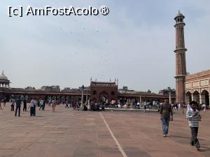 [P09] Moscheea Jama Masjid,curte » foto by AZE
 - 
<span class="allrVoted glyphicon glyphicon-heart hidden" id="av1430311"></span>
<a class="m-l-10 hidden" id="sv1430311" onclick="voting_Foto_DelVot(,1430311,7091)" role="button">șterge vot <span class="glyphicon glyphicon-remove"></span></a>
<a id="v91430311" class=" c-red"  onclick="voting_Foto_SetVot(1430311)" role="button"><span class="glyphicon glyphicon-heart-empty"></span> <b>LIKE</b> = Votează poza</a> <img class="hidden"  id="f1430311W9" src="/imagini/loader.gif" border="0" /><span class="AjErrMes hidden" id="e1430311ErM"></span>