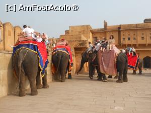 [P05] Jaipur - Amber Fort, curtea cu elefanți. » foto by iulianic
 - 
<span class="allrVoted glyphicon glyphicon-heart hidden" id="av1465733"></span>
<a class="m-l-10 hidden" id="sv1465733" onclick="voting_Foto_DelVot(,1465733,7099)" role="button">șterge vot <span class="glyphicon glyphicon-remove"></span></a>
<a id="v91465733" class=" c-red"  onclick="voting_Foto_SetVot(1465733)" role="button"><span class="glyphicon glyphicon-heart-empty"></span> <b>LIKE</b> = Votează poza</a> <img class="hidden"  id="f1465733W9" src="/imagini/loader.gif" border="0" /><span class="AjErrMes hidden" id="e1465733ErM"></span>