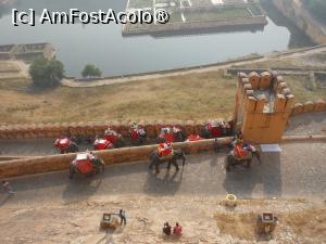 [P07] Jaipur - Amber Fort, traseul elefanților. » foto by iulianic
 - 
<span class="allrVoted glyphicon glyphicon-heart hidden" id="av1465735"></span>
<a class="m-l-10 hidden" id="sv1465735" onclick="voting_Foto_DelVot(,1465735,7099)" role="button">șterge vot <span class="glyphicon glyphicon-remove"></span></a>
<a id="v91465735" class=" c-red"  onclick="voting_Foto_SetVot(1465735)" role="button"><span class="glyphicon glyphicon-heart-empty"></span> <b>LIKE</b> = Votează poza</a> <img class="hidden"  id="f1465735W9" src="/imagini/loader.gif" border="0" /><span class="AjErrMes hidden" id="e1465735ErM"></span>