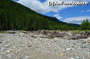 [P102] Transalpina acum, în multe imagini și puține cuvinte - Pe albia Lotrului » foto by Lyssys
 - 
<span class="allrVoted glyphicon glyphicon-heart hidden" id="av636595"></span>
<a class="m-l-10 hidden" id="sv636595" onclick="voting_Foto_DelVot(,636595,7149)" role="button">șterge vot <span class="glyphicon glyphicon-remove"></span></a>
<a id="v9636595" class=" c-red"  onclick="voting_Foto_SetVot(636595)" role="button"><span class="glyphicon glyphicon-heart-empty"></span> <b>LIKE</b> = Votează poza</a> <img class="hidden"  id="f636595W9" src="/imagini/loader.gif" border="0" /><span class="AjErrMes hidden" id="e636595ErM"></span>