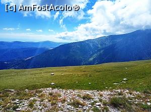 [P20] Transalpina, drumul dintre Novaci si Obarsia Lotrului » foto by Dana2008
 - 
<span class="allrVoted glyphicon glyphicon-heart hidden" id="av924625"></span>
<a class="m-l-10 hidden" id="sv924625" onclick="voting_Foto_DelVot(,924625,7149)" role="button">șterge vot <span class="glyphicon glyphicon-remove"></span></a>
<a id="v9924625" class=" c-red"  onclick="voting_Foto_SetVot(924625)" role="button"><span class="glyphicon glyphicon-heart-empty"></span> <b>LIKE</b> = Votează poza</a> <img class="hidden"  id="f924625W9" src="/imagini/loader.gif" border="0" /><span class="AjErrMes hidden" id="e924625ErM"></span>