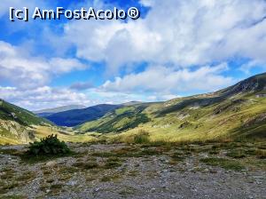 [P34] Transalpina, drumul dintre Novaci si Obarsia Lotrului » foto by Dana2008
 - 
<span class="allrVoted glyphicon glyphicon-heart hidden" id="av924639"></span>
<a class="m-l-10 hidden" id="sv924639" onclick="voting_Foto_DelVot(,924639,7149)" role="button">șterge vot <span class="glyphicon glyphicon-remove"></span></a>
<a id="v9924639" class=" c-red"  onclick="voting_Foto_SetVot(924639)" role="button"><span class="glyphicon glyphicon-heart-empty"></span> <b>LIKE</b> = Votează poza</a> <img class="hidden"  id="f924639W9" src="/imagini/loader.gif" border="0" /><span class="AjErrMes hidden" id="e924639ErM"></span>