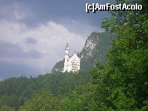 [P25] Imaginea castelului Neuschwanstein ne insoteste in amintiri » foto by doina_c24
 - 
<span class="allrVoted glyphicon glyphicon-heart hidden" id="av209378"></span>
<a class="m-l-10 hidden" id="sv209378" onclick="voting_Foto_DelVot(,209378,7186)" role="button">șterge vot <span class="glyphicon glyphicon-remove"></span></a>
<a id="v9209378" class=" c-red"  onclick="voting_Foto_SetVot(209378)" role="button"><span class="glyphicon glyphicon-heart-empty"></span> <b>LIKE</b> = Votează poza</a> <img class="hidden"  id="f209378W9" src="/imagini/loader.gif" border="0" /><span class="AjErrMes hidden" id="e209378ErM"></span>