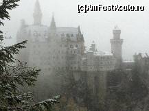 [P01] Castelul Neuschwanstein, pe ninsoare in octombrie!  » foto by ARA
 - 
<span class="allrVoted glyphicon glyphicon-heart hidden" id="av381069"></span>
<a class="m-l-10 hidden" id="sv381069" onclick="voting_Foto_DelVot(,381069,7186)" role="button">șterge vot <span class="glyphicon glyphicon-remove"></span></a>
<a id="v9381069" class=" c-red"  onclick="voting_Foto_SetVot(381069)" role="button"><span class="glyphicon glyphicon-heart-empty"></span> <b>LIKE</b> = Votează poza</a> <img class="hidden"  id="f381069W9" src="/imagini/loader.gif" border="0" /><span class="AjErrMes hidden" id="e381069ErM"></span>