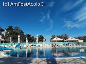 [P26] Piscina cam goala si apa rece » foto by Teodor17
 - 
<span class="allrVoted glyphicon glyphicon-heart hidden" id="av1545157"></span>
<a class="m-l-10 hidden" id="sv1545157" onclick="voting_Foto_DelVot(,1545157,7216)" role="button">șterge vot <span class="glyphicon glyphicon-remove"></span></a>
<a id="v91545157" class=" c-red"  onclick="voting_Foto_SetVot(1545157)" role="button"><span class="glyphicon glyphicon-heart-empty"></span> <b>LIKE</b> = Votează poza</a> <img class="hidden"  id="f1545157W9" src="/imagini/loader.gif" border="0" /><span class="AjErrMes hidden" id="e1545157ErM"></span>