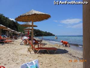 [P33] Plajele din Thassos - Pachi Beach.  » foto by iulianic
 - 
<span class="allrVoted glyphicon glyphicon-heart hidden" id="av522637"></span>
<a class="m-l-10 hidden" id="sv522637" onclick="voting_Foto_DelVot(,522637,7269)" role="button">șterge vot <span class="glyphicon glyphicon-remove"></span></a>
<a id="v9522637" class=" c-red"  onclick="voting_Foto_SetVot(522637)" role="button"><span class="glyphicon glyphicon-heart-empty"></span> <b>LIKE</b> = Votează poza</a> <img class="hidden"  id="f522637W9" src="/imagini/loader.gif" border="0" /><span class="AjErrMes hidden" id="e522637ErM"></span>