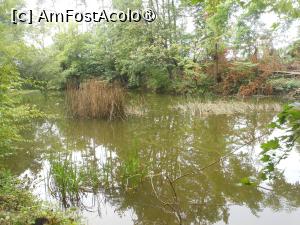 [P15] Dofteana - Castelul Ghika. Lacul. » foto by iulianic
 - 
<span class="allrVoted glyphicon glyphicon-heart hidden" id="av1475977"></span>
<a class="m-l-10 hidden" id="sv1475977" onclick="voting_Foto_DelVot(,1475977,7361)" role="button">șterge vot <span class="glyphicon glyphicon-remove"></span></a>
<a id="v91475977" class=" c-red"  onclick="voting_Foto_SetVot(1475977)" role="button"><span class="glyphicon glyphicon-heart-empty"></span> <b>LIKE</b> = Votează poza</a> <img class="hidden"  id="f1475977W9" src="/imagini/loader.gif" border="0" /><span class="AjErrMes hidden" id="e1475977ErM"></span>