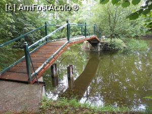 [P16] Dofteana - Castelul Ghika. Lacul. » foto by iulianic
 - 
<span class="allrVoted glyphicon glyphicon-heart hidden" id="av1475978"></span>
<a class="m-l-10 hidden" id="sv1475978" onclick="voting_Foto_DelVot(,1475978,7361)" role="button">șterge vot <span class="glyphicon glyphicon-remove"></span></a>
<a id="v91475978" class=" c-red"  onclick="voting_Foto_SetVot(1475978)" role="button"><span class="glyphicon glyphicon-heart-empty"></span> <b>LIKE</b> = Votează poza</a> <img class="hidden"  id="f1475978W9" src="/imagini/loader.gif" border="0" /><span class="AjErrMes hidden" id="e1475978ErM"></span>