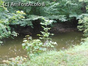 [P41] Dofteana - Castelul Ghika. În pădure. » foto by iulianic
 - 
<span class="allrVoted glyphicon glyphicon-heart hidden" id="av1476003"></span>
<a class="m-l-10 hidden" id="sv1476003" onclick="voting_Foto_DelVot(,1476003,7361)" role="button">șterge vot <span class="glyphicon glyphicon-remove"></span></a>
<a id="v91476003" class=" c-red"  onclick="voting_Foto_SetVot(1476003)" role="button"><span class="glyphicon glyphicon-heart-empty"></span> <b>LIKE</b> = Votează poza</a> <img class="hidden"  id="f1476003W9" src="/imagini/loader.gif" border="0" /><span class="AjErrMes hidden" id="e1476003ErM"></span>