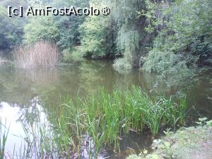 [P49] Dofteana - Castelul Ghika. Lacul. » foto by iulianic
 - 
<span class="allrVoted glyphicon glyphicon-heart hidden" id="av1476011"></span>
<a class="m-l-10 hidden" id="sv1476011" onclick="voting_Foto_DelVot(,1476011,7361)" role="button">șterge vot <span class="glyphicon glyphicon-remove"></span></a>
<a id="v91476011" class=" c-red"  onclick="voting_Foto_SetVot(1476011)" role="button"><span class="glyphicon glyphicon-heart-empty"></span> <b>LIKE</b> = Votează poza</a> <img class="hidden"  id="f1476011W9" src="/imagini/loader.gif" border="0" /><span class="AjErrMes hidden" id="e1476011ErM"></span>