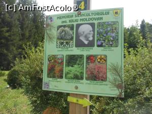 [P37] Parcul dendrologic - Dofteana. » foto by iulianic
 - 
<span class="allrVoted glyphicon glyphicon-heart hidden" id="av1476263"></span>
<a class="m-l-10 hidden" id="sv1476263" onclick="voting_Foto_DelVot(,1476263,7361)" role="button">șterge vot <span class="glyphicon glyphicon-remove"></span></a>
<a id="v91476263" class=" c-red"  onclick="voting_Foto_SetVot(1476263)" role="button"><span class="glyphicon glyphicon-heart-empty"></span> <b>LIKE</b> = Votează poza</a> <img class="hidden"  id="f1476263W9" src="/imagini/loader.gif" border="0" /><span class="AjErrMes hidden" id="e1476263ErM"></span>