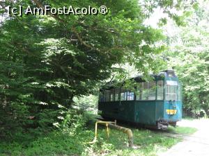 P22 [MAR-2024] Vagon în funcțiune în zona Dumbrava (foto 2010).