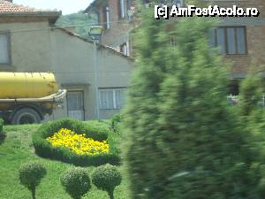 [P10] aranjament floral în Obzor » foto by marocanu21
 - 
<span class="allrVoted glyphicon glyphicon-heart hidden" id="av460974"></span>
<a class="m-l-10 hidden" id="sv460974" onclick="voting_Foto_DelVot(,460974,7422)" role="button">șterge vot <span class="glyphicon glyphicon-remove"></span></a>
<a id="v9460974" class=" c-red"  onclick="voting_Foto_SetVot(460974)" role="button"><span class="glyphicon glyphicon-heart-empty"></span> <b>LIKE</b> = Votează poza</a> <img class="hidden"  id="f460974W9" src="/imagini/loader.gif" border="0" /><span class="AjErrMes hidden" id="e460974ErM"></span>