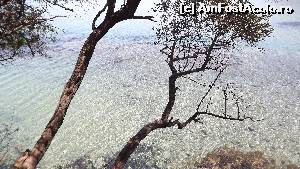 [P14] Milli Park - la plimbare pe coastă » foto by danoradea
 - 
<span class="allrVoted glyphicon glyphicon-heart hidden" id="av630384"></span>
<a class="m-l-10 hidden" id="sv630384" onclick="voting_Foto_DelVot(,630384,7464)" role="button">șterge vot <span class="glyphicon glyphicon-remove"></span></a>
<a id="v9630384" class=" c-red"  onclick="voting_Foto_SetVot(630384)" role="button"><span class="glyphicon glyphicon-heart-empty"></span> <b>LIKE</b> = Votează poza</a> <img class="hidden"  id="f630384W9" src="/imagini/loader.gif" border="0" /><span class="AjErrMes hidden" id="e630384ErM"></span>