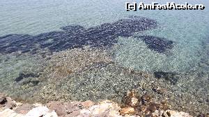 [P16] Milli Park - la plimbare pe coastă » foto by danoradea
 - 
<span class="allrVoted glyphicon glyphicon-heart hidden" id="av630386"></span>
<a class="m-l-10 hidden" id="sv630386" onclick="voting_Foto_DelVot(,630386,7464)" role="button">șterge vot <span class="glyphicon glyphicon-remove"></span></a>
<a id="v9630386" class=" c-red"  onclick="voting_Foto_SetVot(630386)" role="button"><span class="glyphicon glyphicon-heart-empty"></span> <b>LIKE</b> = Votează poza</a> <img class="hidden"  id="f630386W9" src="/imagini/loader.gif" border="0" /><span class="AjErrMes hidden" id="e630386ErM"></span>