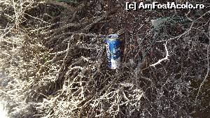 [P18] Milli Park - la plimbare pe coastă, urmele civilizației...  » foto by danoradea
 - 
<span class="allrVoted glyphicon glyphicon-heart hidden" id="av630388"></span>
<a class="m-l-10 hidden" id="sv630388" onclick="voting_Foto_DelVot(,630388,7464)" role="button">șterge vot <span class="glyphicon glyphicon-remove"></span></a>
<a id="v9630388" class=" c-red"  onclick="voting_Foto_SetVot(630388)" role="button"><span class="glyphicon glyphicon-heart-empty"></span> <b>LIKE</b> = Votează poza</a> <img class="hidden"  id="f630388W9" src="/imagini/loader.gif" border="0" /><span class="AjErrMes hidden" id="e630388ErM"></span>