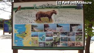 [P48] Milli Park - panou informativ » foto by danoradea
 - 
<span class="allrVoted glyphicon glyphicon-heart hidden" id="av630418"></span>
<a class="m-l-10 hidden" id="sv630418" onclick="voting_Foto_DelVot(,630418,7464)" role="button">șterge vot <span class="glyphicon glyphicon-remove"></span></a>
<a id="v9630418" class=" c-red"  onclick="voting_Foto_SetVot(630418)" role="button"><span class="glyphicon glyphicon-heart-empty"></span> <b>LIKE</b> = Votează poza</a> <img class="hidden"  id="f630418W9" src="/imagini/loader.gif" border="0" /><span class="AjErrMes hidden" id="e630418ErM"></span>