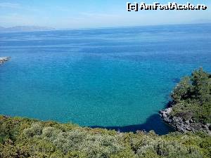 [P05] Milli Park » foto by danoradea
 - 
<span class="allrVoted glyphicon glyphicon-heart hidden" id="av630359"></span>
<a class="m-l-10 hidden" id="sv630359" onclick="voting_Foto_DelVot(,630359,7464)" role="button">șterge vot <span class="glyphicon glyphicon-remove"></span></a>
<a id="v9630359" class=" c-red"  onclick="voting_Foto_SetVot(630359)" role="button"><span class="glyphicon glyphicon-heart-empty"></span> <b>LIKE</b> = Votează poza</a> <img class="hidden"  id="f630359W9" src="/imagini/loader.gif" border="0" /><span class="AjErrMes hidden" id="e630359ErM"></span>